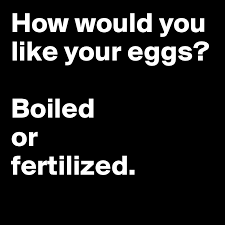 Typically, you'll see a white circle within the yolk that looks like a bullseye (this is called the blastoderm). How Would You Like Your Eggs Boiled Or Fertilized Post By 2schaa On Boldomatic