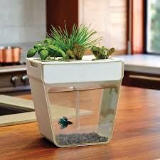 For more helpful information, visit our lawn & garden advice section. Indoor Gardening Indoor Gardening Supplies Gardener S Edge