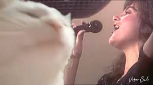 Snowy Owl Hash House Harriers