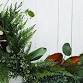 Winter Ring Wreath Workshop event image