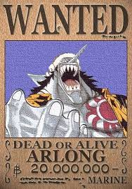 He wasn't jimbei strong, but at least in the flashbacks he looked like he could've, you. 39 One Piece Kopfgelder Ideen One Piece Steckbrief Steckbrief One Piece Charaktere
