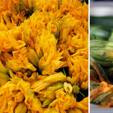 Female_spaghetti_squash_flower.jpg ‎(768 × 576 pixels, file size: Five Ways To Eat Squash Blossoms Kitchn