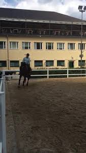 Restaurants near hirschau im englischen garten. Universitats Reitschule Munchen Beitrage Facebook