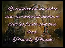 Citation Du Jour Par Leo Progress De Accompania Com Citation Du Jour Web Application Progress