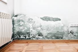 Promote ground water drainage away from a house. Black Mould And Mildew On Walls And Ceilings A Helpful Guide