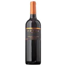 Chilean Wine Buy Wine Online Total Wine More In 2020 Chilean Wine Buy Wine Wine