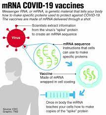 Https Www Adirondackdailyenterprise Com News Local News 2021 04 How Long Does Protection From Covid 19 Vaccines Last