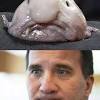 See more of stefan löfven är inte min statsminister on facebook. 1
