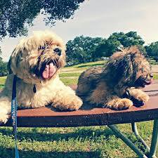 You can watch ppv uk stream among canizales vs bermudez via fite.tv on a ppv basis. Junior And Frankie Home Facebook