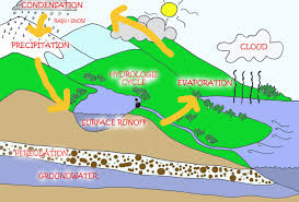 Folge deiner leidenschaft bei ebay! 31 Download Gambar Poster Dampak Siklus Air Bagi Kehidupan Terbaru Homposter