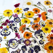 Edible flowers for sale in south africa. Loria Stern On How To Cook With Edible Flowers Saveur