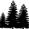 Free download 34 best quality pine tree coloring page at getdrawings. 1