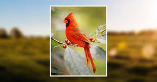 Patty Griffin Obituary June 29, 2021