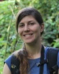 The Distribution and Conservation Status of the Green Salamander (Aneides  aeneus) in Tennessee, USA