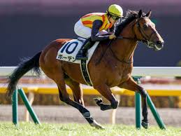 抽象 動物・野生生物 芸術 背景・テクスチャ 美容・ファッション 建物・都市 ビジネス・金融 有名人 エディトリアル 教育 食べ物・飲み物 動画ホーム 厳選コレクション shutterstock select shutterstock elementsカテゴリー. Iktybr62bonpmm