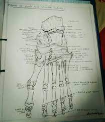 We did not find results for: Pin By Dr Arvinder Kaur On Medical Pencil Shading Male Sketch Anatomy