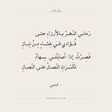 عالم الأدب اقتباسات من الشعر العربي والأدب العالمي Arabic Quotes Words Quotes