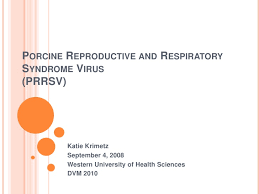 Porcine Reproductive And Respiratory Syndrome Virus