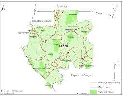 Image result for Thomandersia congolana