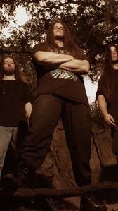 Check spelling or type a new query. Download Wallpaper 640x1136 Cannibal Corpse Trees T Shirts Sky