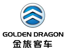 Use two kinds of coconut and a hint of honey. Golden Dragon Logo Png Hd Brand Overview