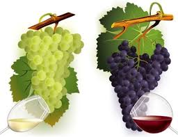 Download 514 wine grapes free vectors. Grape Free Vector Download 458 Free Vector For Commercial Use Format Ai Eps Cdr Svg Vector Illustration Graphic Art Design