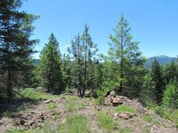 Bonner homes for sale $469,000. 56 Blanchard Homes For Sale Blanchard Id Real Estate Movoto