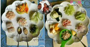 Bila bayi masuk 6 bulan, ramai ibu memang excited nak bagi makan. Resepi Makanan Bayi 5 Bulan