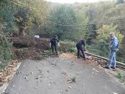 À partir du xiv e siècle, les hommes d'église vont procéder à l'effacement des labyrinthes dessinés sur le sol. Ficaghja Ficaja Au Fil Du Temps Arbre Tombe Sur La Route