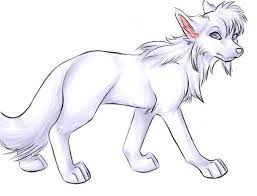 11 best silver black hair anime people images anime. White Wolf Cute Wolf Drawings Anime Wolf Cute Drawings