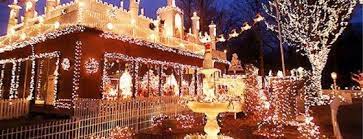 Stone Zoo Lights 2021 Hours Times Coupons And More