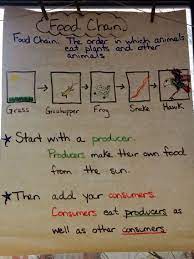Pin On Chart