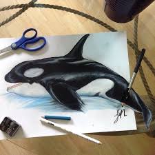 See more ideas about whale, whale art, art inspiration. Drawing Dibujo Dessin Artist Art Artwork Prismacolor Color Orca Killerwhale Savethewhale Dolphin Whale Realism 3dart Proyectos
