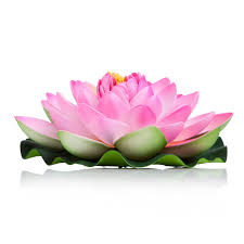 Maybe you would like to learn more about one of these? Simply Essentials Best Floating Flowers Set Of 6 Pink Flowers For Weddings Pools Flower Arrangements Centerpieces