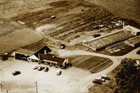 Chester next to mickey's igloo.besides the point though. Becoming Adams The History Of The Hudson Valley S Iconic Grocery Store