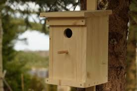 Möchten sie überprüfen, ob ihr garten oder balkon einen geeigneten ort für einen nistkasten darstellt? Nistkasten Richtig Saubern Und Aufhangen Eisenstadt