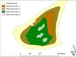 Image result for Pavetta stenosepala