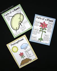 How to make online lesson plans. 11 Plant Life Cycle Activities Playdough To Plato