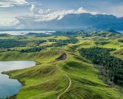 Dukungan PSN Menguat, Film “Pig Feast” Ganggu Pembangunan Ketahanan Energi Papua