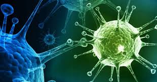 Image result for à®¤à¯à®±à¯à®±à¯ à®¨à¯à®¯à®¾à®²à¯ à®ªà®²à®°à¯ à®ªà®²à®¿
