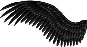 Black And White Angel Wings Png Pin On Obrazky Andele A Vily Vira