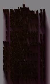 Image result for Hydrostachys myriophylla