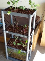 Aquaponics 5 Gallon Bucket Aquaponic