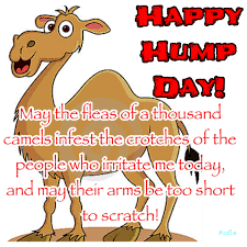 Pin On Hump Day Pictures