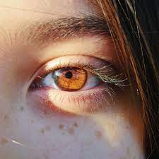 Глаза янтарного цвета