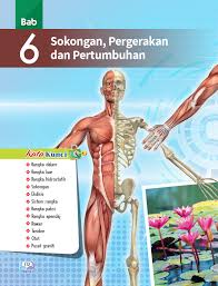 Maybe you would like to learn more about one of these? I Rdina Bab 6 Kssm Sains Tingkatan 4 Membalik Buku Halaman 1 30 Pubhtml5