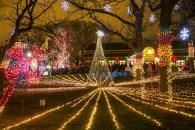 Tree has real pine cones, decorative berries and incandescent lights. 11 Best Places To See Christmas Lights In Chicago