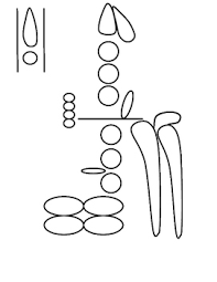 Clarinet Fingering Chart Label Identify