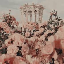 Pin By ｄａｅｄａｅ On Persephone Flower Aesthetic Pastel Aesthetic Pink Aesthetic