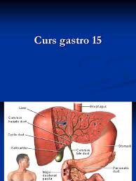 Ecografia generala este ecografia abdomenului si pelvisului care cuprinde examinarea ficatului, colicistului si cailor biliare, a pancreasului, splinei ecografia generala la copil se efectueaza in aceleasi conditii ca si la adult. Curs Gastro 15 Gallbladder Cirrhosis
